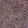 Textures 344